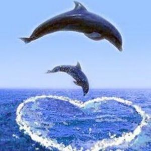 Meet your Posher, Autumn